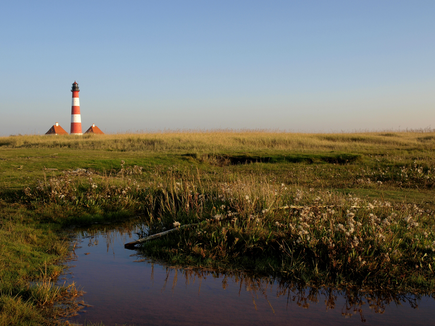 Westerhever