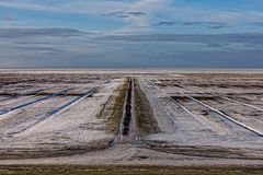 Westerhever endlos (Richtung Sandbank)