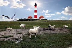 Westerhever Erinnerungen