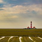 Westerhever