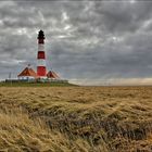 * Westerhever