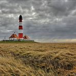 * Westerhever