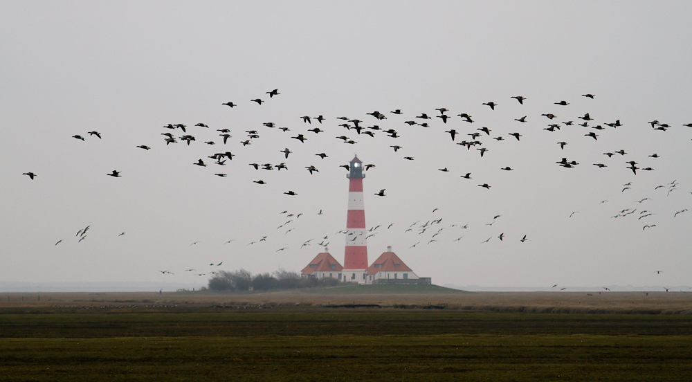 Westerhever