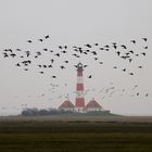 Westerhever