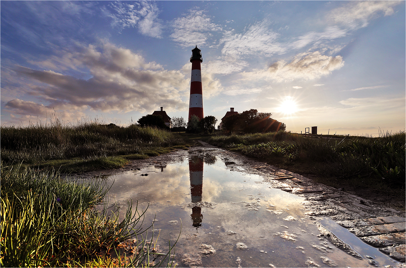 Westerhever Gegenlicht