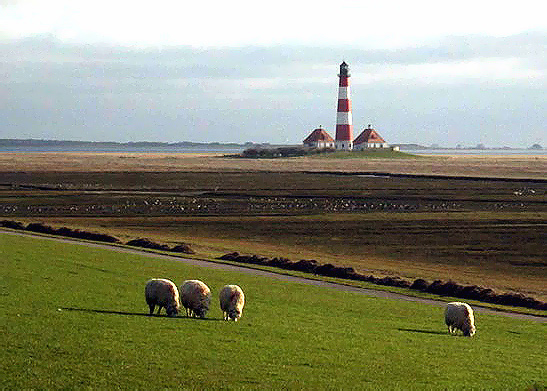 Westerhever geschönt...von Oktávio Diaz-Bérrio