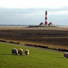 Westerhever geschönt...von Oktávio Diaz-Bérrio