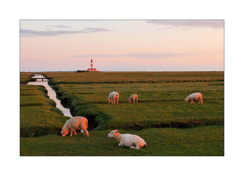 Westerhever I