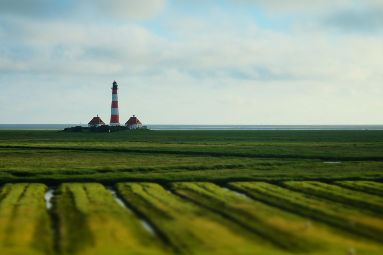 Westerhever I