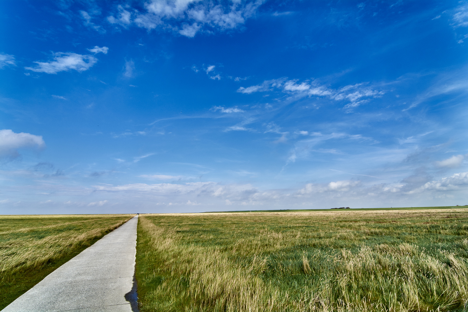 Westerhever II