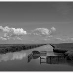 Westerhever II