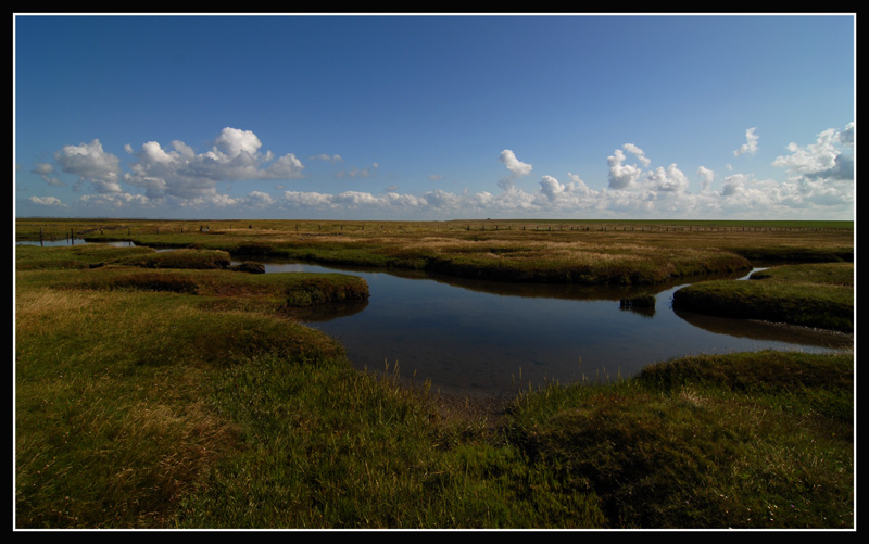 Westerhever III