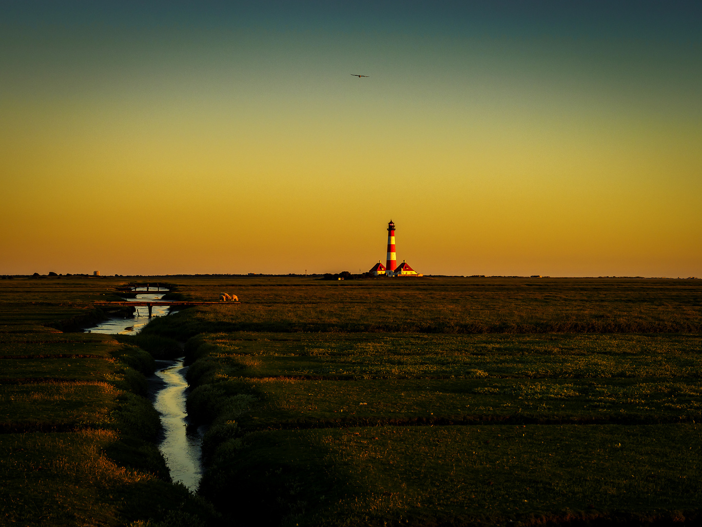 Westerhever im Abendlicht