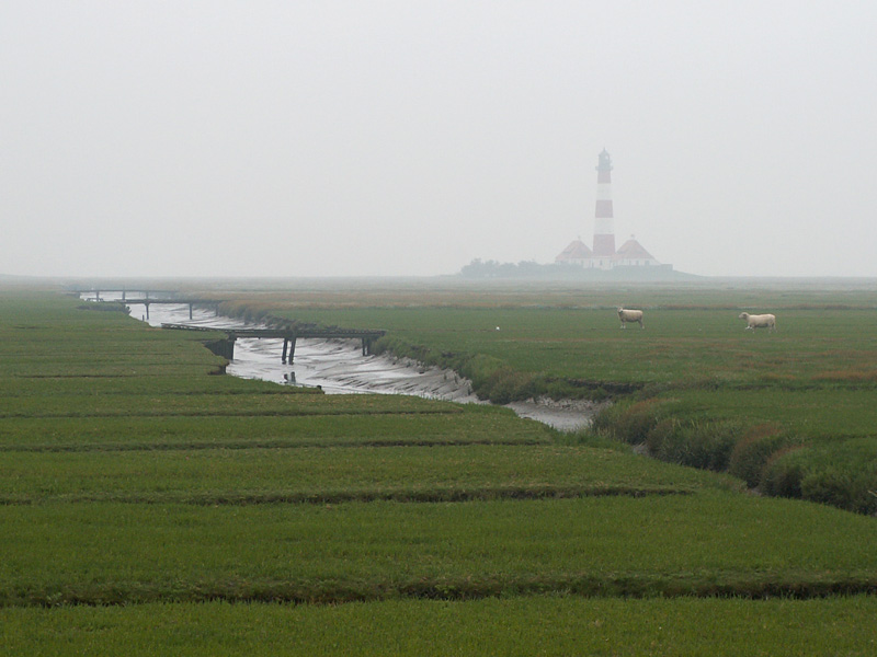 Westerhever im Nebel ...