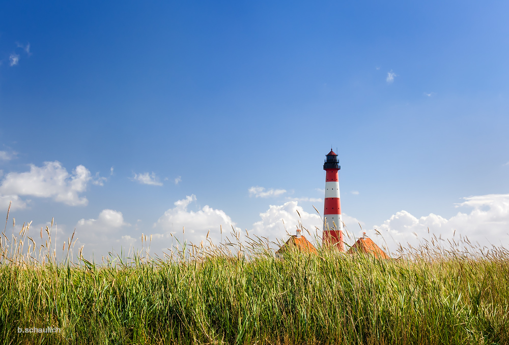 Westerhever im September