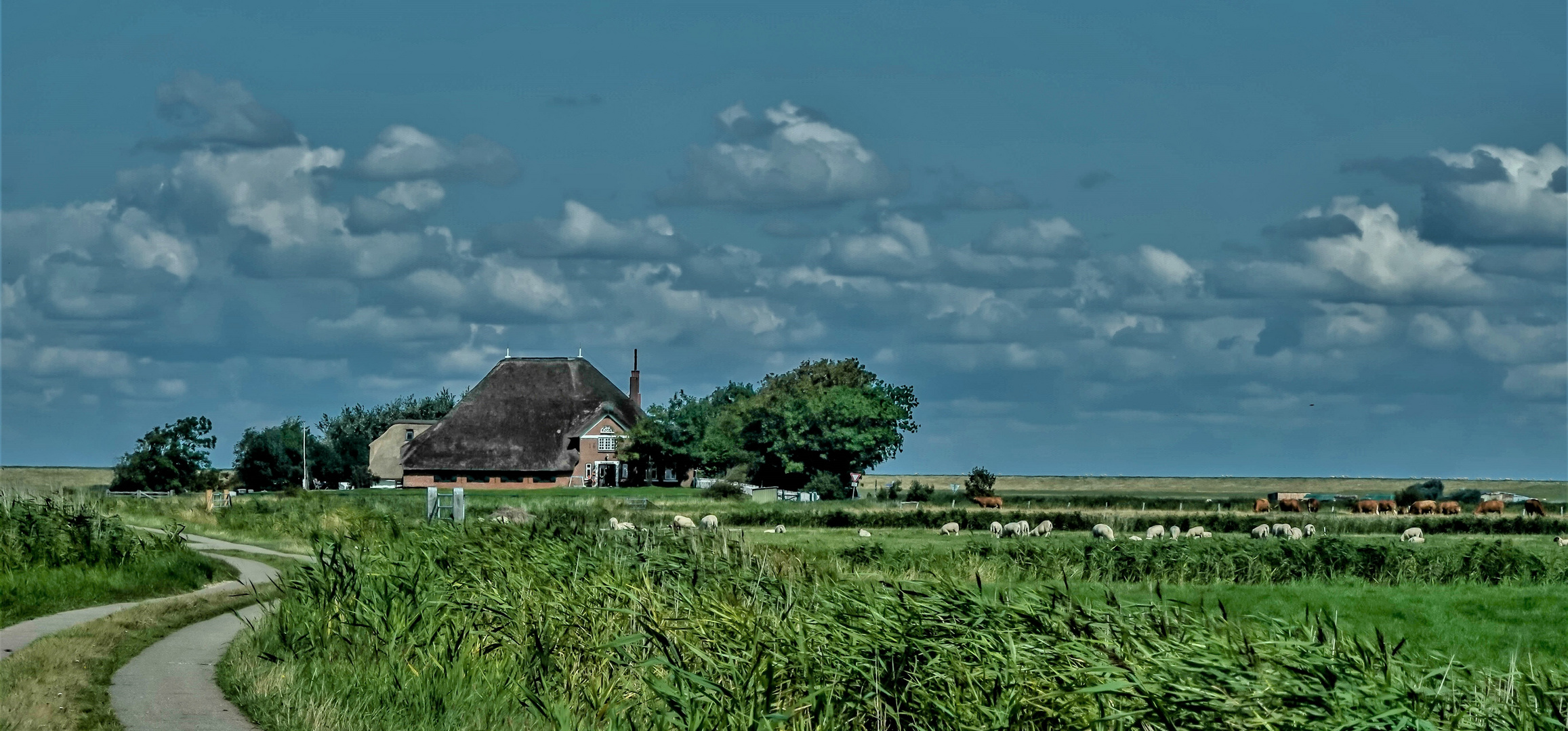 Westerhever Kreis Nordfriesland (2)