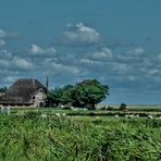 Westerhever Kreis Nordfriesland (2)