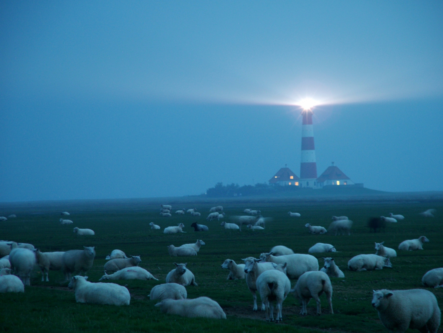 Westerhever-L-Nacht-hell