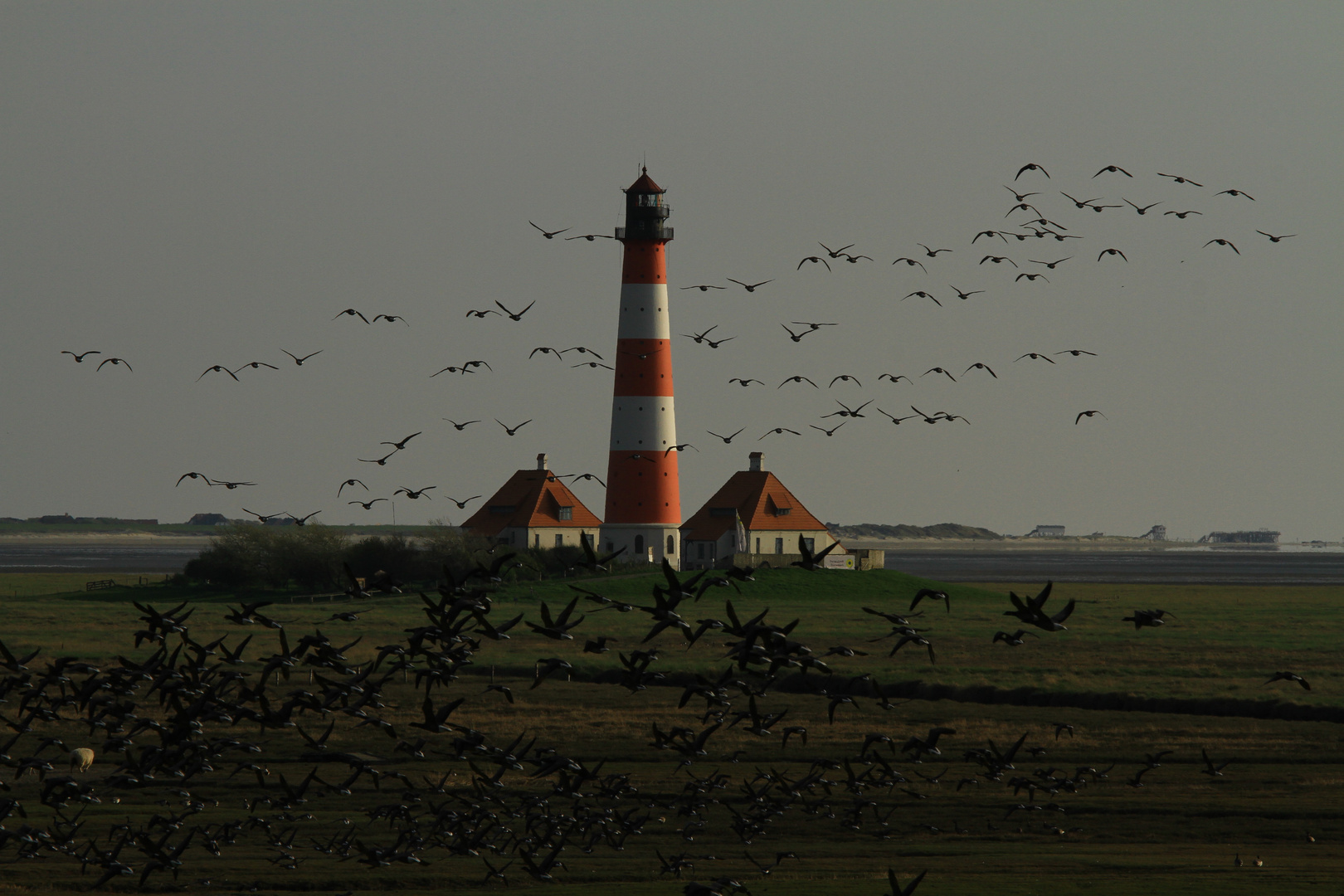 Westerhever Leuchtturm #2