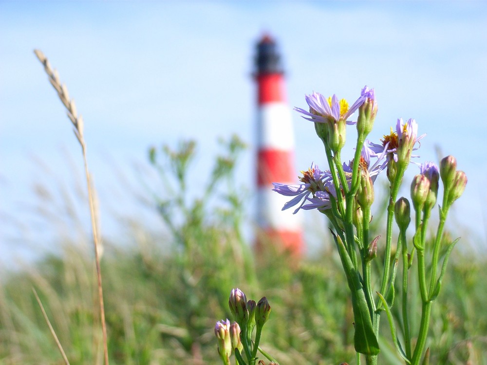 Westerhever Leuchtturm