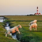 Westerhever Leuchtturm