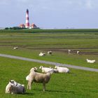 Westerhever Leuchtturm 