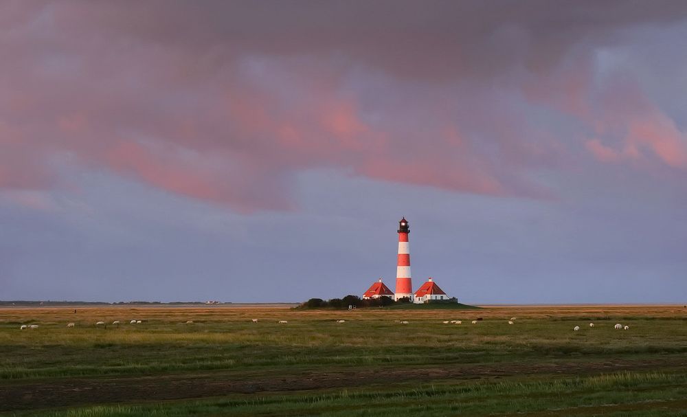 Westerhever Leuchtturm am frühen Foto & Bild deutschland