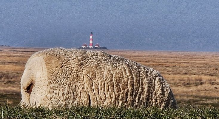 Westerhever Leuchtturm
