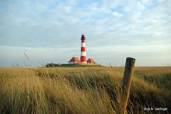 Westerhever Leuchturm ...Jever läßt grüßen