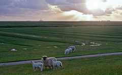 Westerhever Leutturm in Abendstimmung