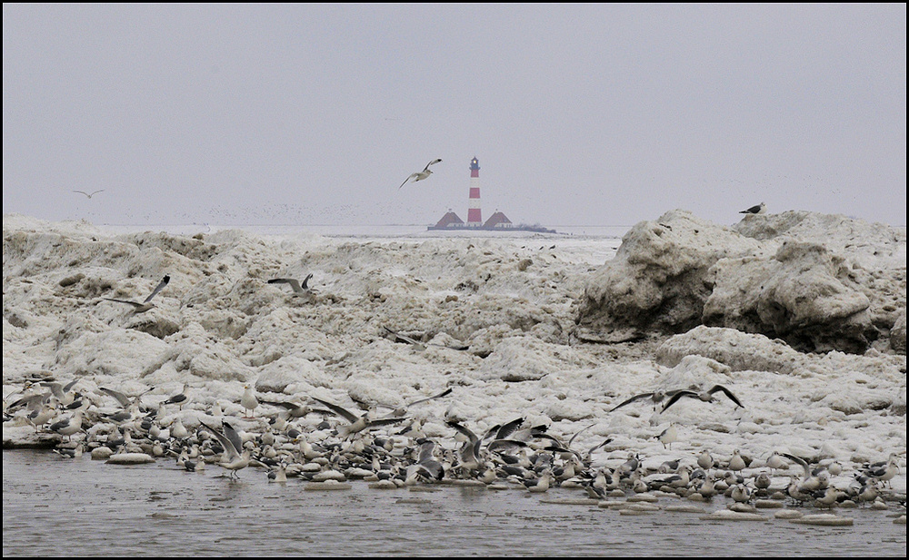 westerhever mal anders im blick