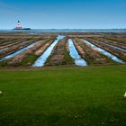 westerhever mit schafen :-)