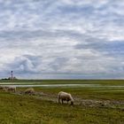 Westerhever mit Tieren