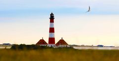 Westerhever Nationalpark Wattenmeer