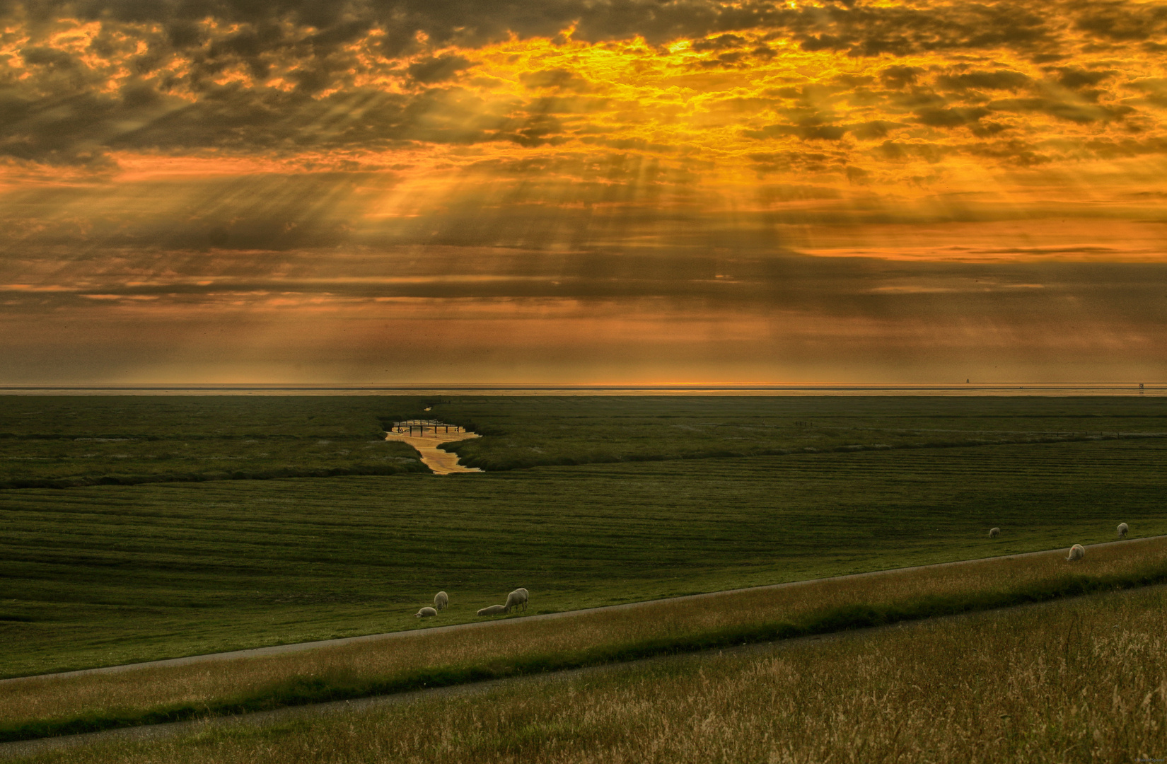 Westerhever Salzwiesen