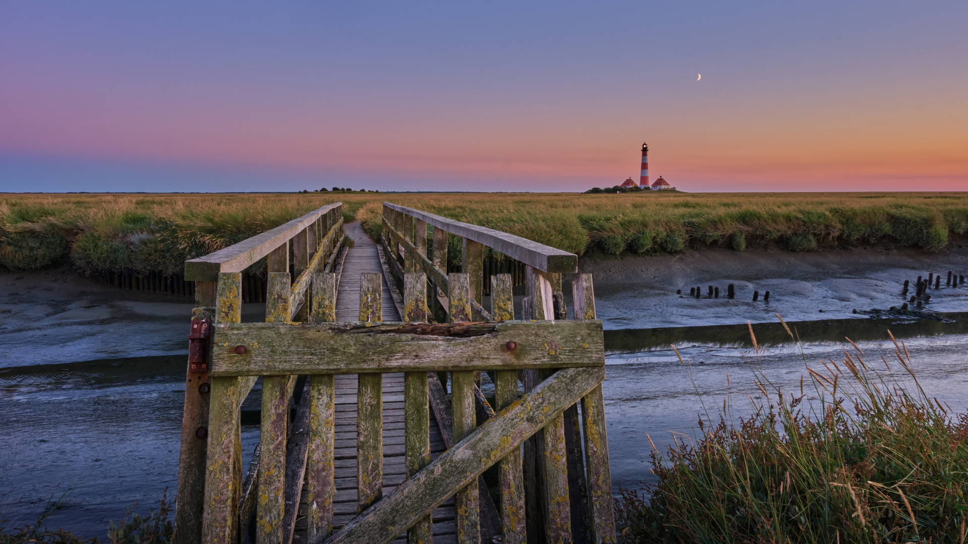 Westerhever Salzwiesen