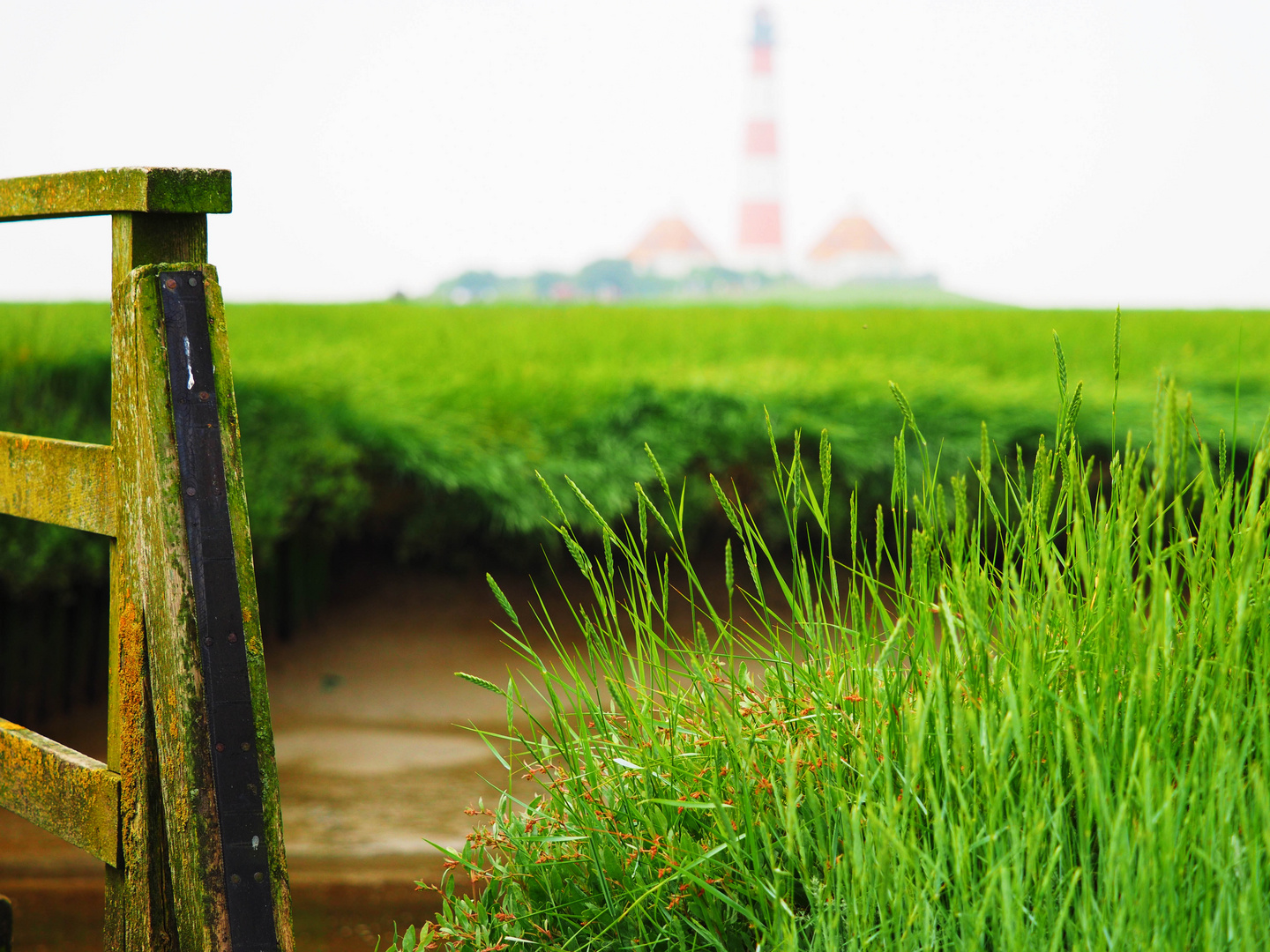 Westerhever Sand I