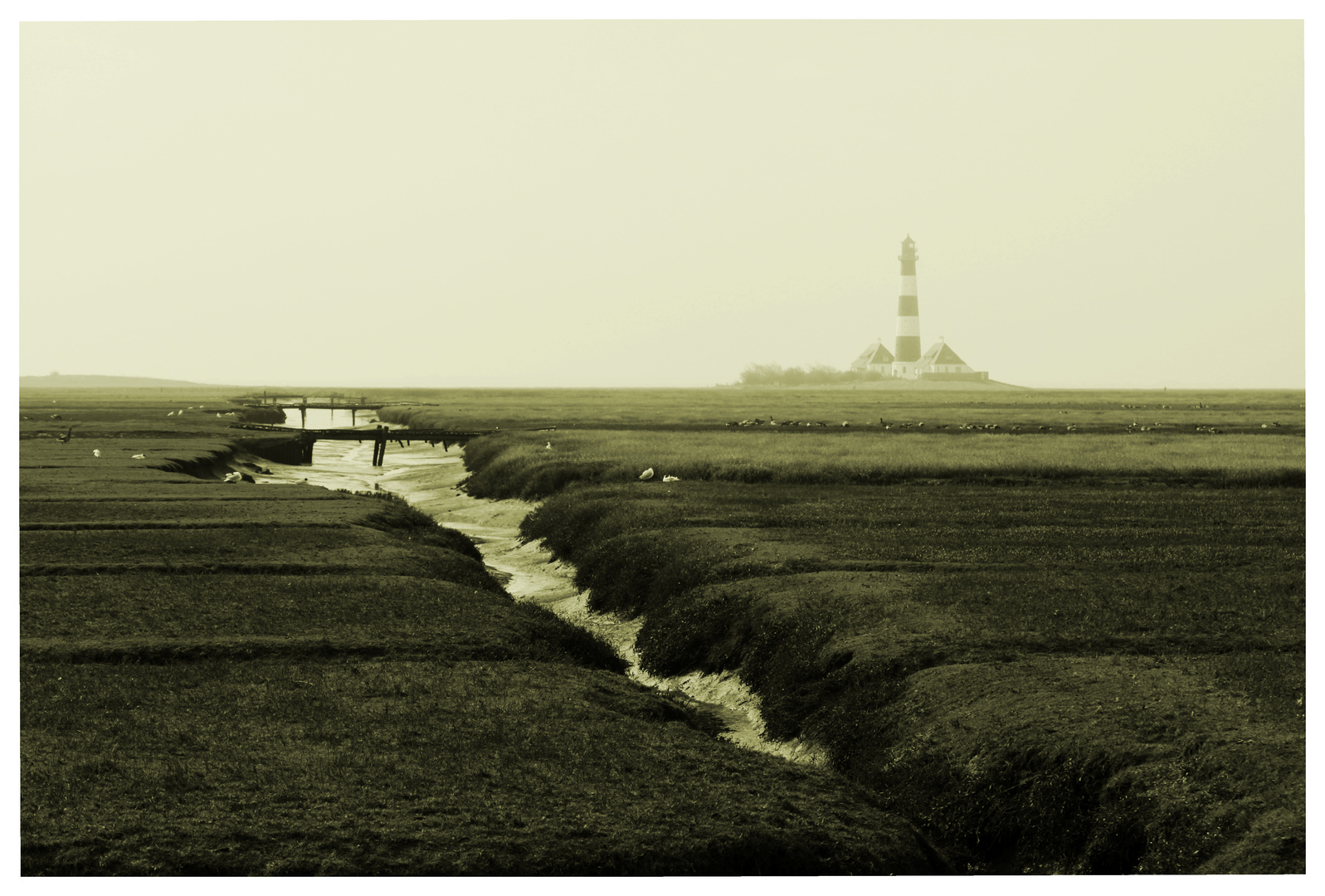 Westerhever Sand III