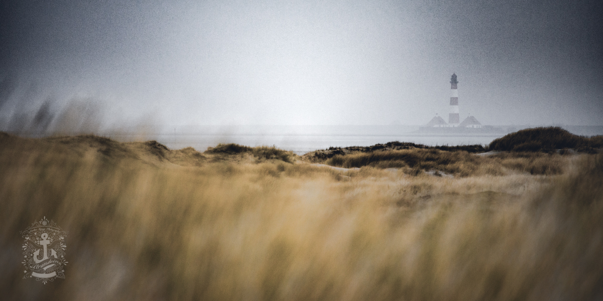 Westerhever Sand MMXIX