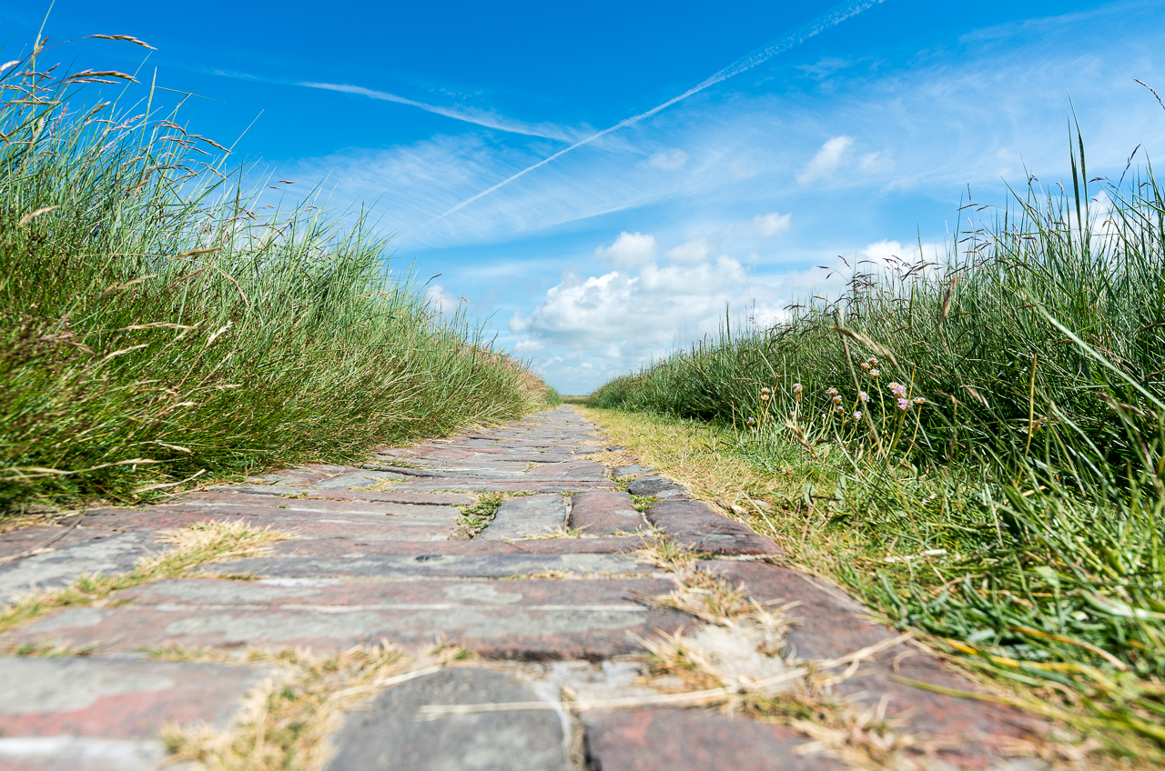 Westerhever Steinweg