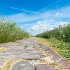 Westerhever Steinweg