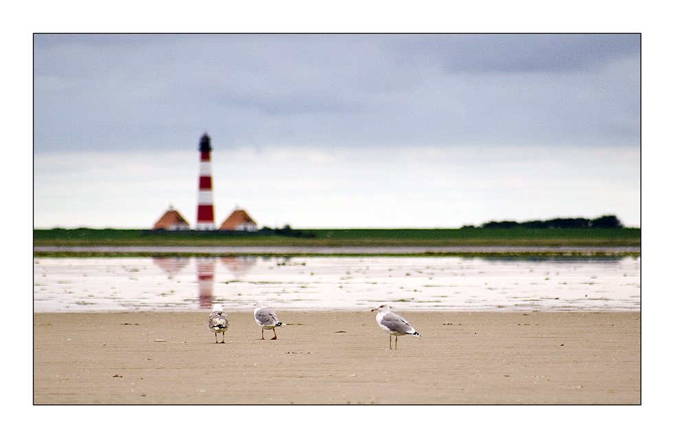 Westerhever Strandspaziergang