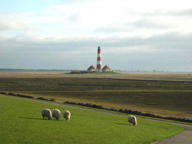 Westerhever ungeschönt