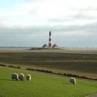 Westerhever ungeschönt