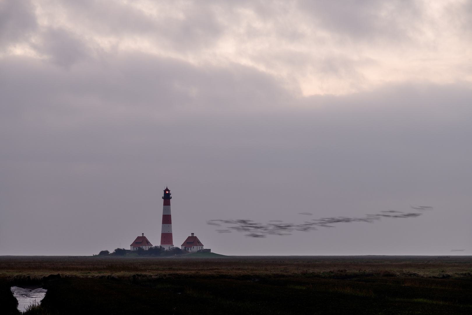 Westerhever Vogelzug