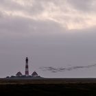 Westerhever Vogelzug