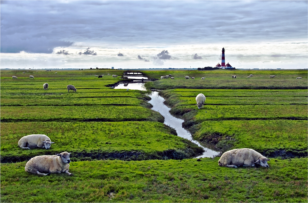 Westerhever Vorland