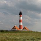 WESTERHEVER V_X?