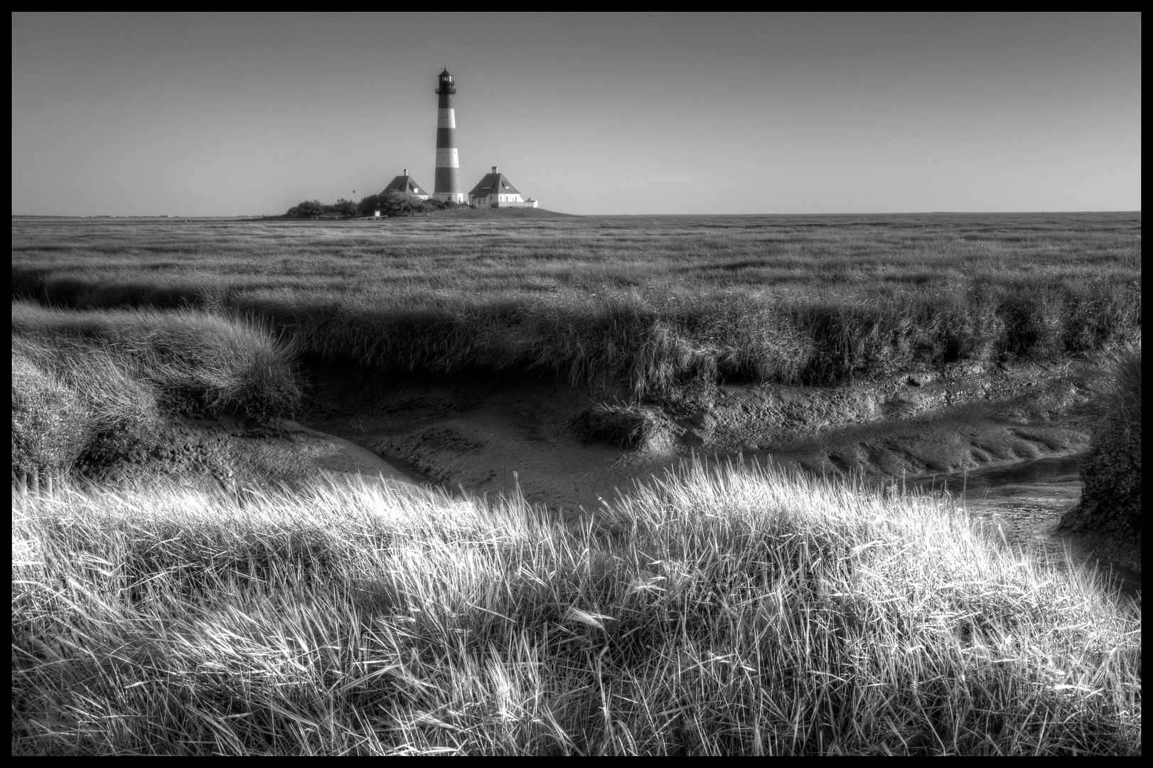 Westerhever - wieder da