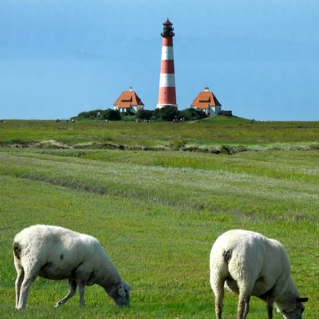 Westerhever2965